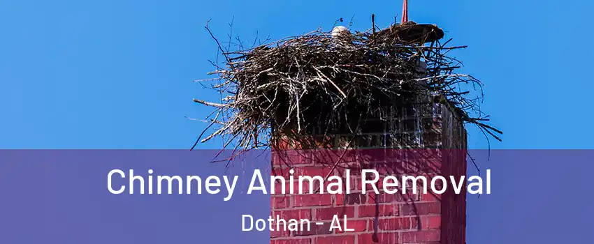 Chimney Animal Removal Dothan - AL