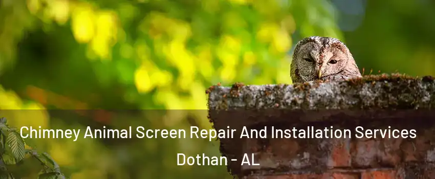 Chimney Animal Screen Repair And Installation Services Dothan - AL