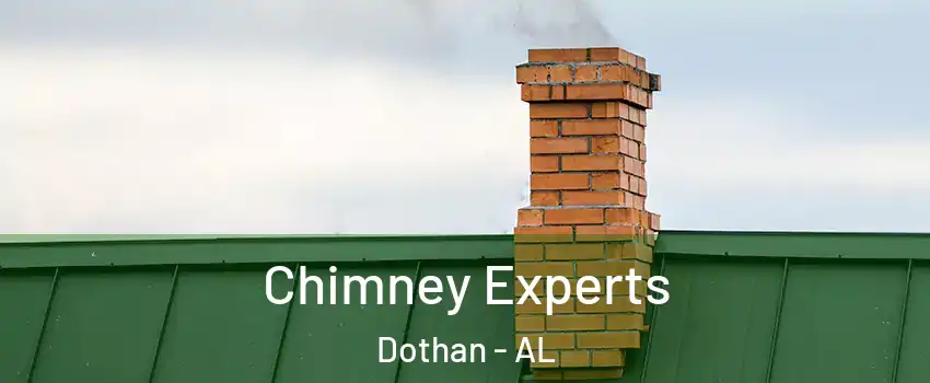  Chimney Experts Dothan - AL