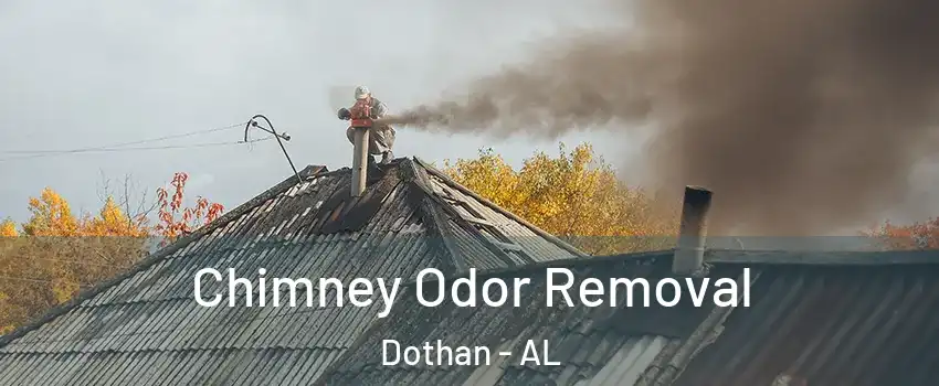  Chimney Odor Removal Dothan - AL
