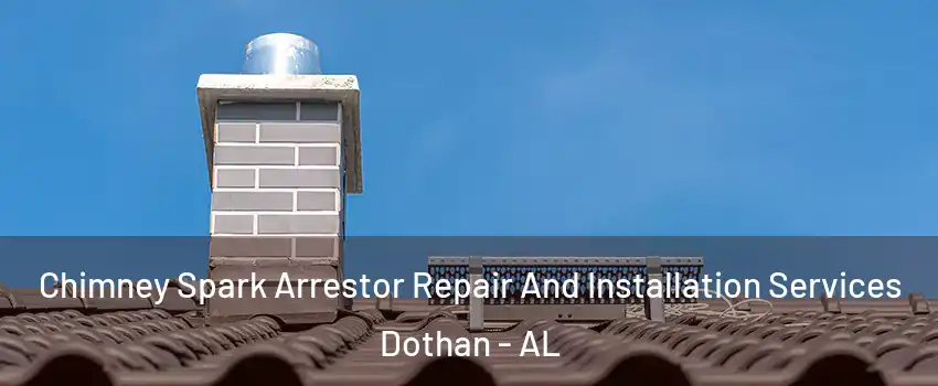  Chimney Spark Arrestor Repair And Installation Services Dothan - AL