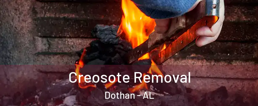  Creosote Removal Dothan - AL