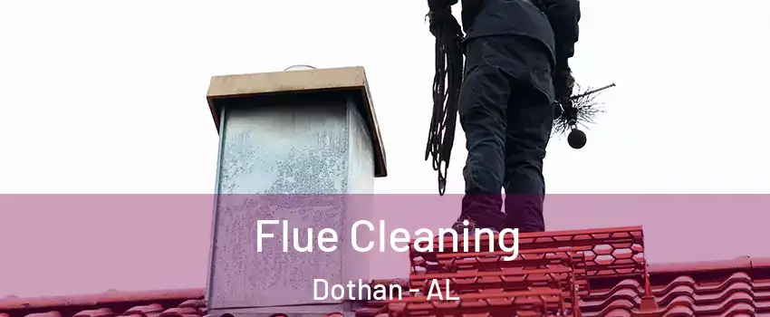  Flue Cleaning Dothan - AL