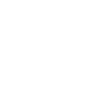 Professional Chimney Flue Installation in Dothan, Alabama