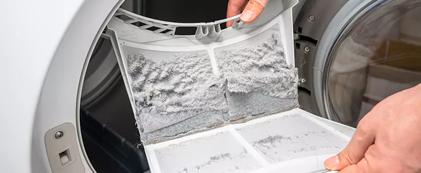 Best Dryer Lint Removal Company in Dothan, Alabama