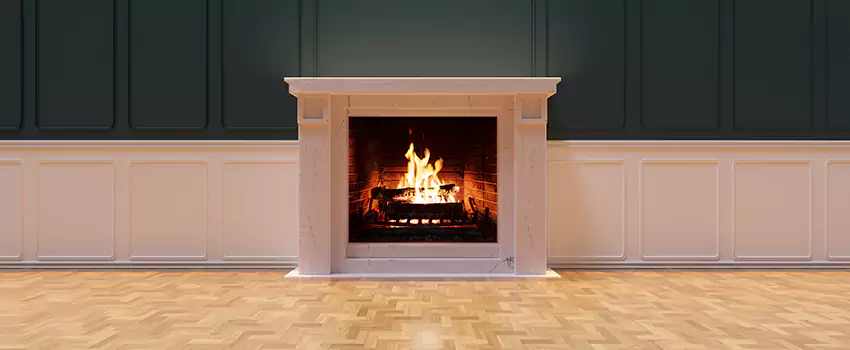 Napoleon Electric Fireplaces Inspection Service in Dothan, Alabama