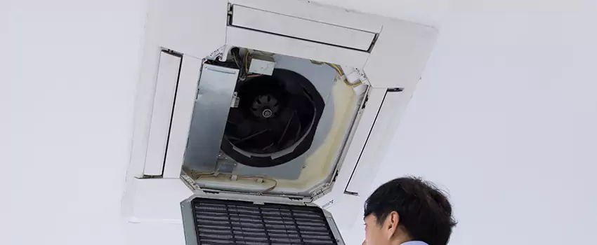 Benefits of Professional Air Duct Cleaning in Dothan, Alabama