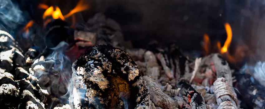 Creosote Removal Experts in Dothan, AL